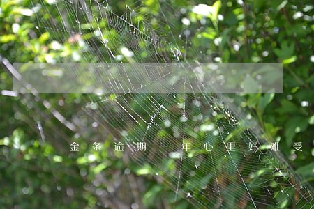 金条逾期一年心里好难受 金条逾期一年心里好难受