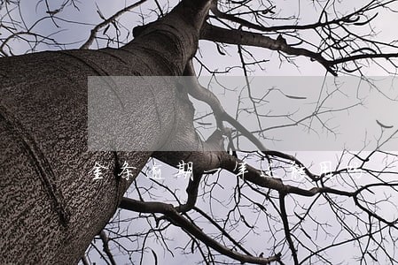金条逾期一年还能用吗 金条逾期一年还能用吗