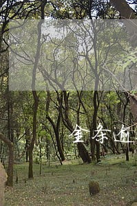 金条逾期一晚上影响房贷 金条逾期一晚上影响房贷