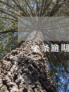 金条逾期一次