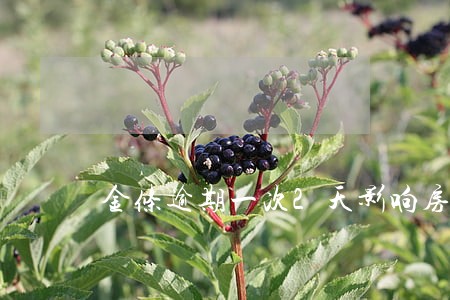 金条逾期一次2天影响房贷吗 金条逾期一次2天影响房贷吗