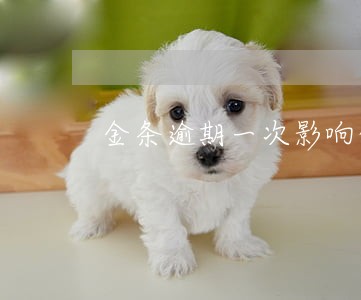 金条逾期一次影响信用卡吗 金条逾期一次影响信用卡吗