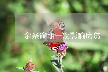 金条逾期一次影响房贷 金条逾期一次影响房贷