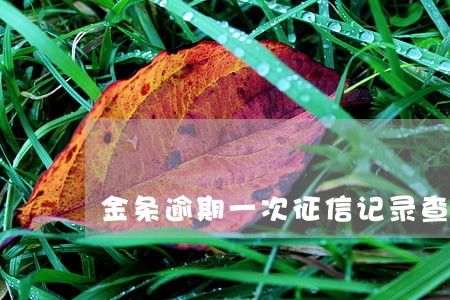金条逾期一次征信记录查的到吗 金条逾期一次征信记录查的到吗