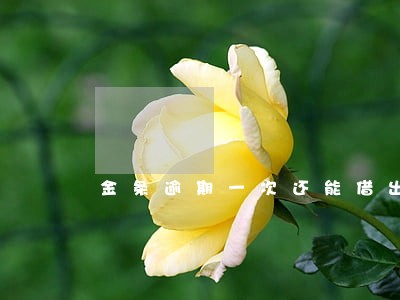 金条逾期一次还能借出来吗