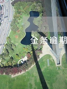 金条逾期一次还能借钱吗 金条逾期一次还能借钱吗