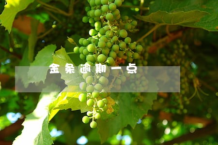 金条逾期一点 金条逾期一点