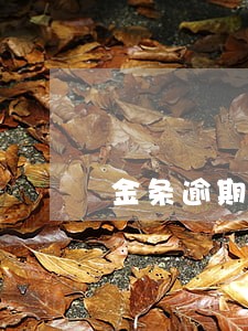 金条逾期一百块钱