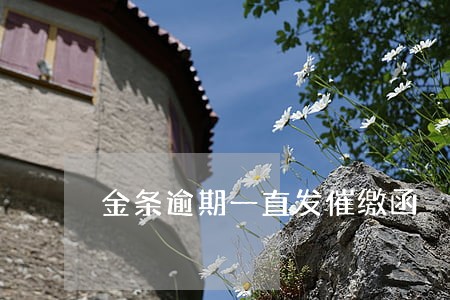 金条逾期一直发催缴函 金条逾期一直发催缴函
