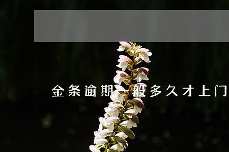 金条逾期一般多久才上门 金条逾期一般多久才上门