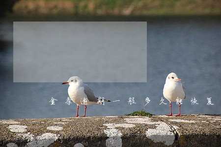 金条逾期一般多久能恢复 金条逾期一般多久能恢复