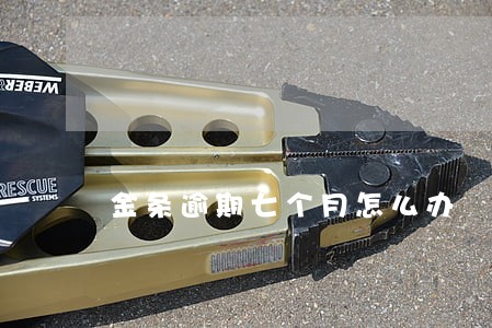 金条逾期七个月怎么办 金条逾期七个月怎么办