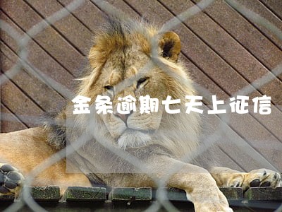 金条逾期七天上征信 金条逾期七天上征信