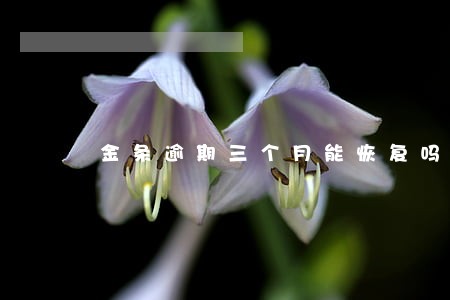 金条逾期三个月能恢复吗 金条逾期三个月能恢复吗