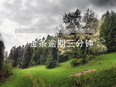金条逾期三分钟 金条逾期三分钟