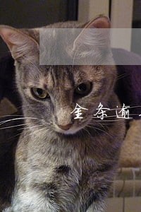 金条逾期三千逾期一年 金条逾期三千逾期一年