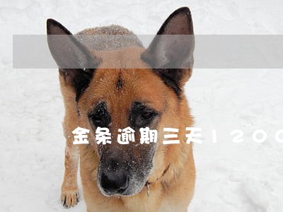 金条逾期三天1200多少利息 金条逾期三天1200多少利息