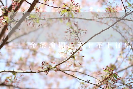 金条逾期三天上不上征信 金条逾期三天上不上征信