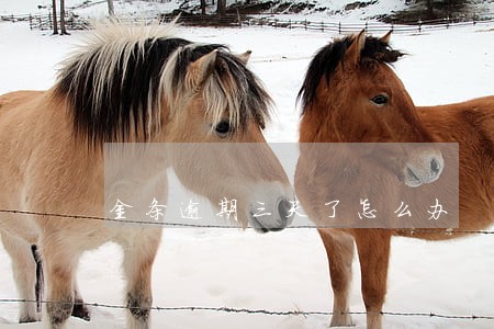 金条逾期三天了怎么办 金条逾期三天了怎么办
