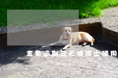 金条逾期三天被停止使用了 金条逾期三天被停止使用了