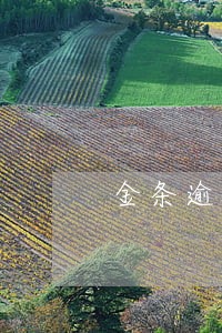 金条逾期三月还清多久恢复征信 金条逾期三月还清多久恢复征信