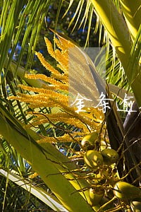 金条逾期三次 金条逾期三次