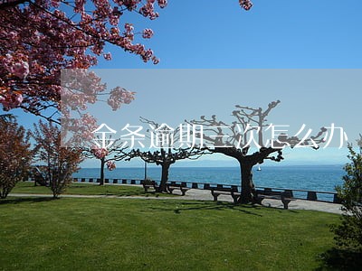 金条逾期三次怎么办 金条逾期三次怎么办