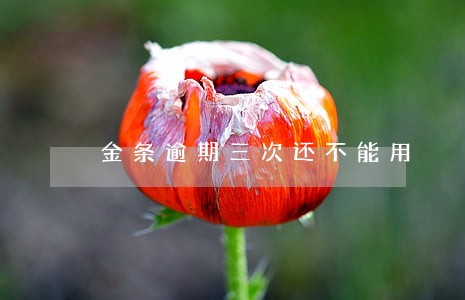金条逾期三次还不能用