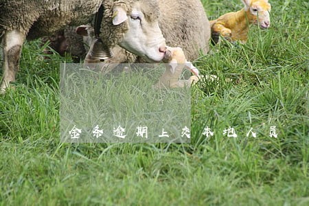 金条逾期上交本地人员