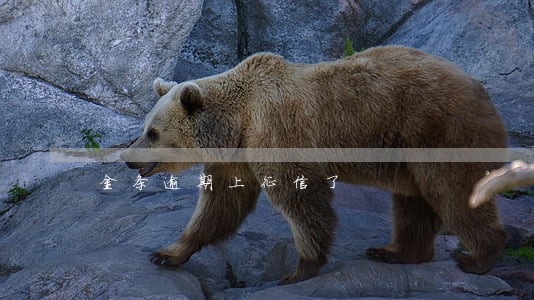 金条逾期上征信了 金条逾期上征信了