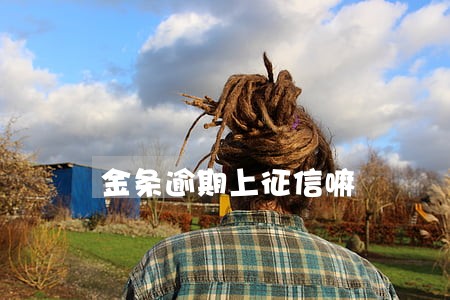 金条逾期上征信嘛 金条逾期上征信嘛