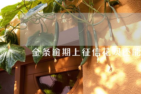 金条逾期上征信花呗还能用吗 金条逾期上征信花呗还能用吗