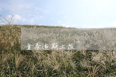 金条逾期上报 金条逾期上报