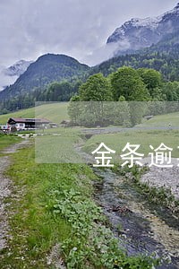金条逾期上报专员核实 金条逾期上报专员核实