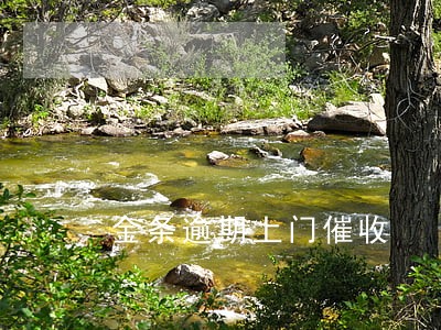 金条逾期上门催收