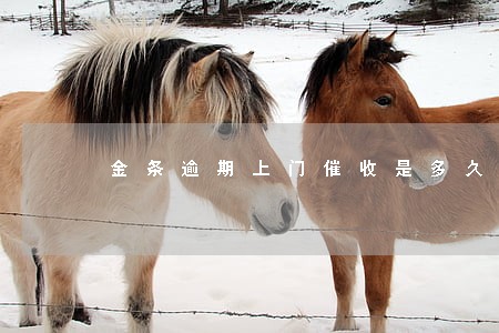 金条逾期上门催收是多久