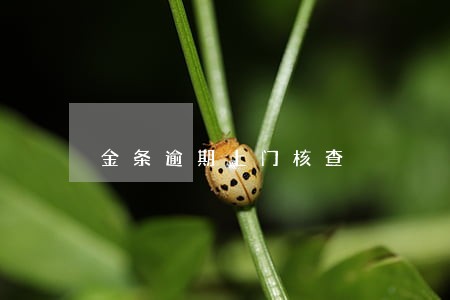 金条逾期上门核查 金条逾期上门核查