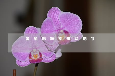 金条逾期不可以借了 金条逾期不可以借了