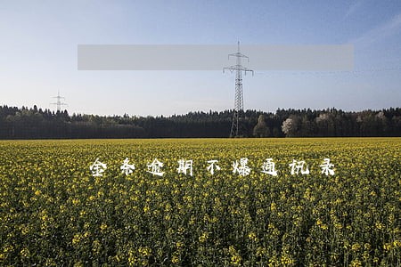 金条逾期不爆通讯录 金条逾期不爆通讯录