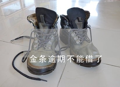 金条逾期不能借了 金条逾期不能借了