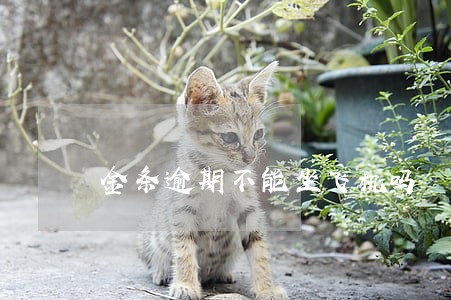 金条逾期不能坐飞机吗 金条逾期不能坐飞机吗