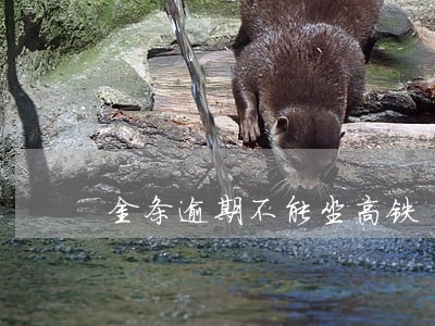 金条逾期不能坐高铁 金条逾期不能坐高铁