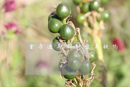 金条逾期不能坐高铁吗 金条逾期不能坐高铁吗