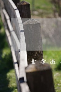 金条逾期不能用了 金条逾期不能用了