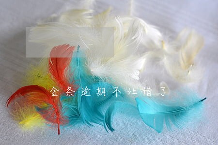 金条逾期不让借了