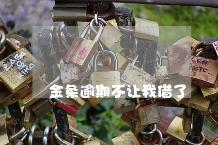 金条逾期不让我借了