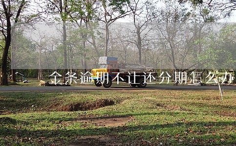 金条逾期不让还分期怎么办