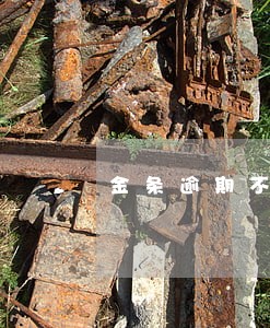 金条逾期不超过十天 金条逾期不超过十天