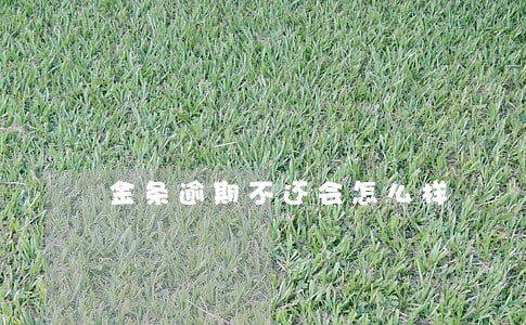 金条逾期不还会怎么样 金条逾期不还会怎么样