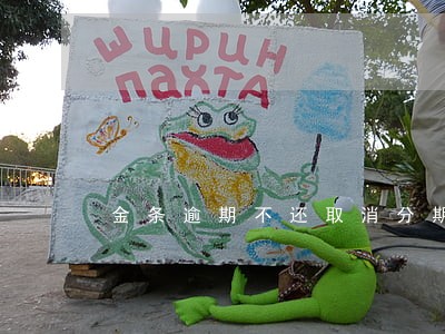 金条逾期不还取消分期 金条逾期不还取消分期